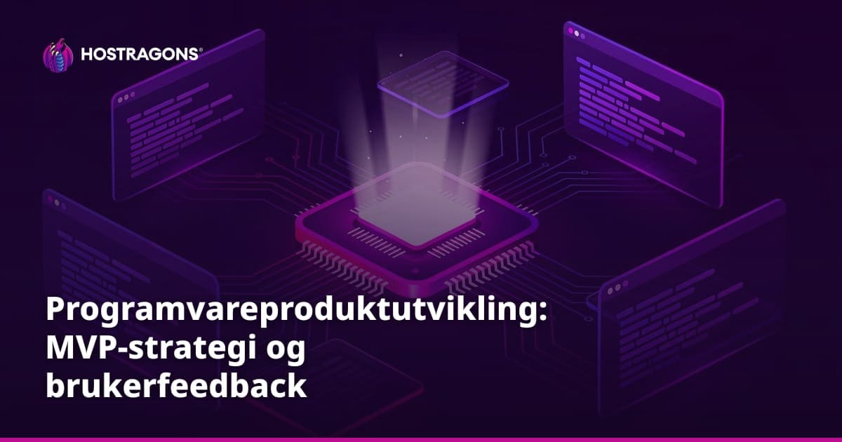 Programvareproduktutvikling: MVP-strategi og brukerfeedback