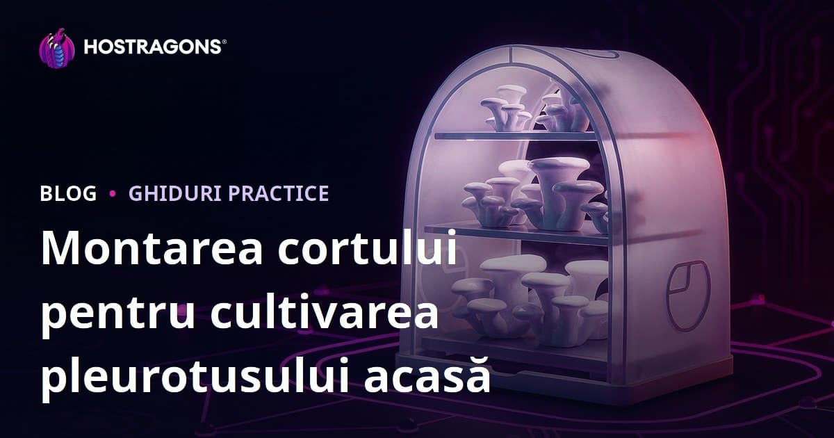 Instalarea unui Cort pentru Producția de Ciuperci Stridii Acasă: Ghid Pas cu Pas