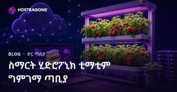 በቤት ውስጥ ላይ ስማርት ሃይድሮፖኒክ ቲማቲም እርባታ ላይ ብቻ የተመሰረተ ጥናት ጣቢያ ለመመስረት መመሪያ
