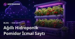 Yalnızca Evdə Ağıllı Hidroponik Pomidor Yetişdiriciliyi Əhatə Edən İnceleme Saytı Yaratma Rehberi