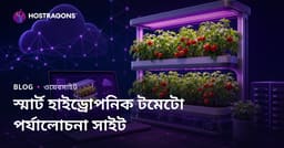 শুধু বাড়িতে স্মার্ট হাইড্রোপনিক টমেটো চাষের উপর পর্যবেক্ষণ সাইট তৈরি করার গাইড