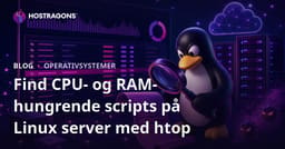 Find CPU- og RAM-hungrende scripts på Linux server med htop