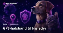 GPS Halsbånd Til Kæledyr: En Dansk Guide Til Sikkerhed, Test og Webhosting