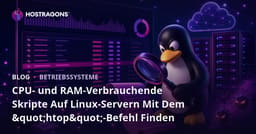 CPU- und RAM-Verbrauchende Skripte Auf Linux-Servern Mit Dem "htop"-Befehl Finden
