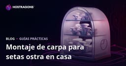 Cómo montar un cultivo casero de setas ostra: guía paso a paso