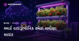 માત્ર ઘરેથી સ્માર્ટ હાઇડ્રોપોનિક ટામેટા ઉગાડવા માટેની સમીક્ષા સાઇટ સ્થાપવા માટે માર્ગદર્શિકા