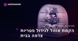 הקמת אוהל לגידול פטריות צדפה בבית: מדריך צעד אחר צעד