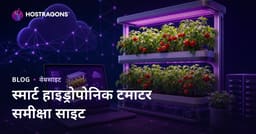 केवल होम स्मार्ट हाइड्रोपोनिक टमाटर उगाने पर समीक्षा साइट स्थापित करने की मार्गदर्शिका