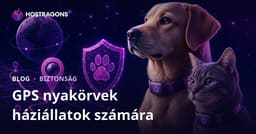 Csak háziállatoknak szánt GPS nyakörvek biztonsági blogja – részletes tesztek és vásárlási tanácsok