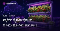 ಮಾತ್ರ ಮನೆಯಲ್ಲೇ ಶ್ರೇಷ್ಠ ಹೈಡ್ರೋಪೊನಿಕ್ ಟೊಮೆಟೋ ಬೆಳೆದ ನಿರ್ದೇಶನವೆನ್ನು ಕುರಿತಾಗೆ
