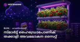 വീട് വഴി ഉചിതമായ കീ വളർച്ചയിൽ സംശയവിൽക്കിനു മാത്രം കാഴ്ച്ച നടത്തുക