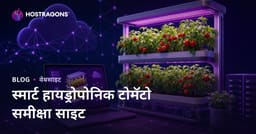 फक्त घरात स्मार्ट हायड्रोपोनिक टोमॅटो लागवड वाढवण्यासाठीचे पुनरावलोकन साइट सेट करण्याच्या मार्गदर्शिका