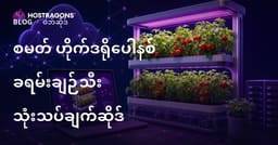 သင့်မှာပဲအိမ်တွင် အနည်းပျော့ပျော့ အမြစ်သောက်သီးထုတ်လုပ်ခြင်းအပေါ်အကြောင်းအရာလုပ်ရန်ဝက်ဘ်ဆိုက်ဖြစ်သည်
