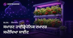 ਸਿਰਫ਼ ਘਰ ਵਿੱਚ ਅਕਲਮੰਦ ਹਾਈਡਰੋਪੋਨਿਕ ਟਮਾਟਰ ਖੇਤੀ ‘ਤੇ ਰਿਸਰਚ ਸਾਈਟ ਬਣਾਉਣ ਦੀ ਗਾਈਡ
