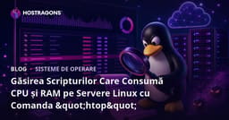 Găsirea Scripturilor Care Consumă CPU și RAM pe Servere Linux cu Comanda "htop"