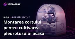 Instalarea unui Cort pentru Producția de Ciuperci Stridii Acasă: Ghid Pas cu Pas