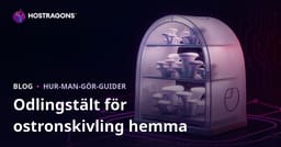 Installation av odlingstält för ostronskivling hemma: Steg-för-steg guide