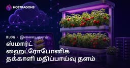 வீட்டில் மக்கே மண்மேடு hydroponic தக்காளி வளர்ப்பு மையத்தை உருவாக்கும் வழிகாட்டி