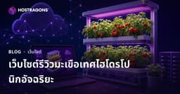 คู่มือการสร้างเว็บไซต์รีวิวเกี่ยวกับการปลูกมะเขือเทศไฮโดรโปนิกอย่างชาญฉลาดที่บ้านเท่านั้น