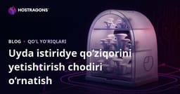 Uyda istiridye qo‘ziqorini yetishtirish uchun ishlab chiqarish chodiri: Bosqichma-bosqich yo‘l-yo‘riq