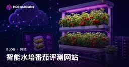 仅针对在家智能水培番茄种植的评测网站建立指南