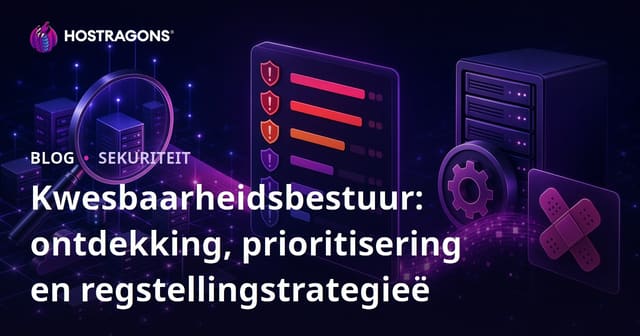 Kwesbaarheidsbestuur: ontdekking, prioritisering en regstellingstrategieë