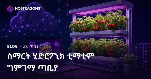 በቤት ውስጥ ላይ ስማርት ሃይድሮፖኒክ ቲማቲም እርባታ ላይ ብቻ የተመሰረተ ጥናት ጣቢያ ለመመስረት መመሪያ
