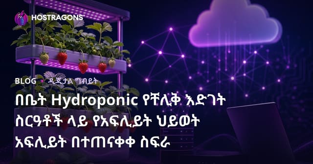 በቤት Hydroponic የቸሊቅ እድገት ስርዓቶች ላይ የአፍሊይት ህይወት አፍሊይት በተጠናቀቀ ስፍራ