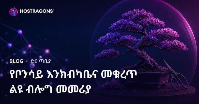 በብዙ ተስፋ ያለ በቦንሳይ ዕፅዋት አንካሳና ቁርጠኝነት ልማዶች ላይ በምስል የተመነ የአማራኛ ሚስተር ብሎግ