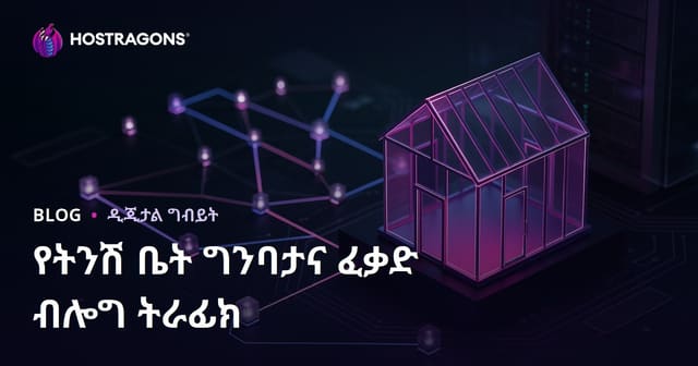 ታይኒ ሆስ ማቅረብና ፈቃድ ሂደት በአማርኛ ብሎግ ለነጭ ብሎግ ትራፊክ የሚያደርጉ ዘዴዎች