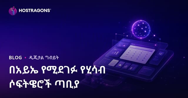 የአርተፊሺው ኢንተለጀንስ የሚደገፉ የሒሳብ ፕሮግራሞች ብቻ የሚጠቅሙ የB2B ፋይናንስ ድር ጣቢያ እንዴት እንደሚገነባ