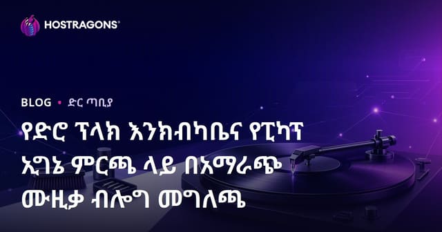 የድሮ ፕላክ እንክብካቤና የፒካፕ ኢግኔ ምርጫ ላይ በአማራጭ ሙዚቃ ብሎግ መግለጫ