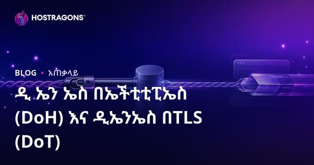 የአውሮፕሳዊ ድህደር ላይ ያተከሉ DNS (DNS over HTTPS) እና DNS over TLS በየሚታወቀው ደረጃ