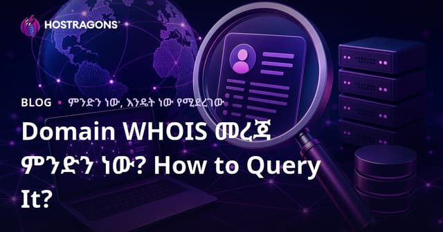 Domain WHOIS መረጃ ምንድነው ማንኛውን የድር የስም መታወቂያ WHOIS ጥያቄ እንዴት እንደሚደረግ?
