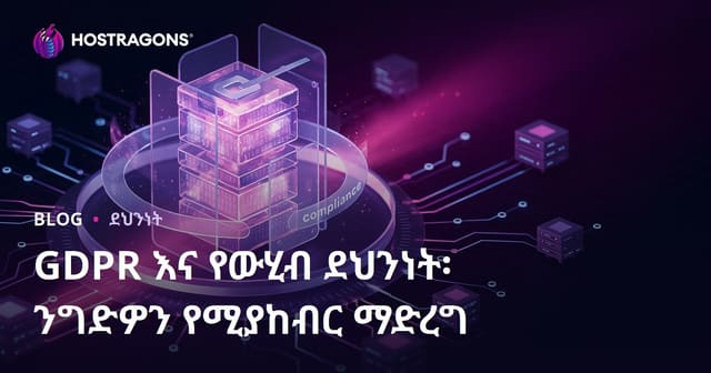 GDPRና የውሂብ ደህንነት፡ ንግዱን ምክንያታዊ ማድረግ ውስጥ የአማርኛ አሳየት