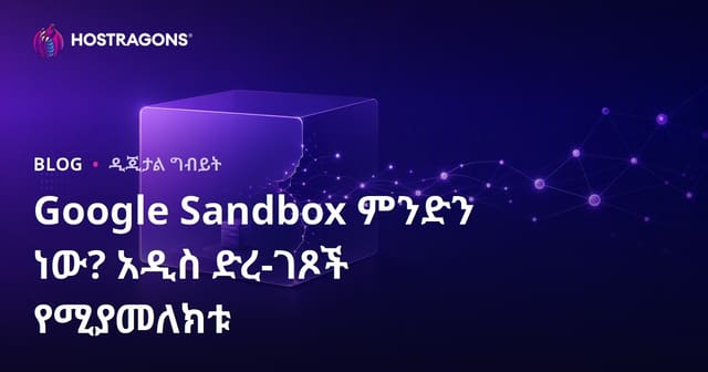 Google Sandbox ምንድነው? አዲስ ድር ጣቢያዎች ስንት ጊዜ ውስጥ ከGoogle Sandbox ይወጣሉ?