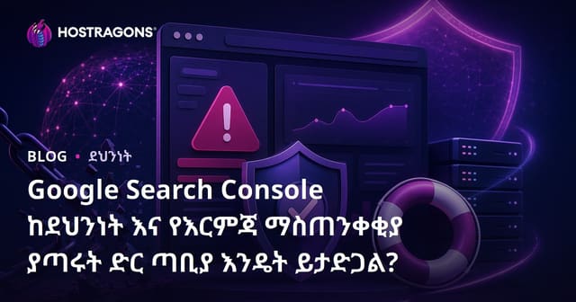 Google Search Console ከደህንነት እና የእርምጃ ማስጠንቀቂያ ያጣሩት ድር ጣቢያ እንዴት ይታድጋል?