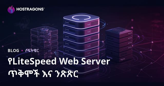 LiteSpeed የዌብ ሰርቨር ልምዶች፣ ከApache/Nginx ጋር ተያያዥ ምድብና አማራጭ መረጃ