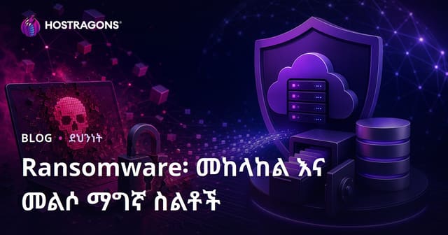 ፊድዬ ሶፍትዌሮች (Ransomware): የአስተዳደር እና የእሴት ጥበቃ ዘዴዎች