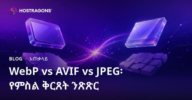WebP, AVIF, JPEG የምስል ፎርማቶች ምርጫ፡ አስፈላጊ ልዩነቶች እና ተሞክሮ