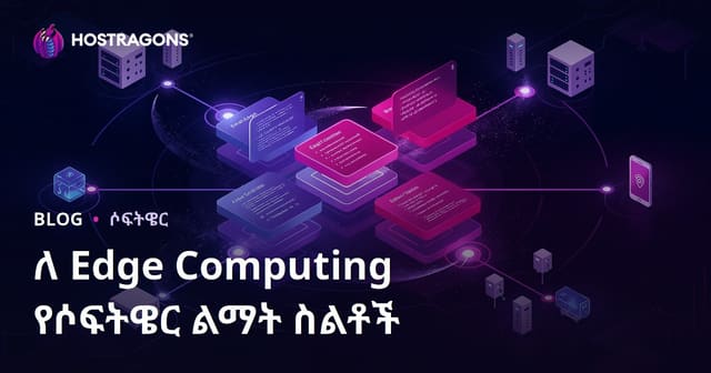 ኤጅ ኮምፒውቲንግ ዘርፍ ለውስጥ ሶፍትዌር ልምድ ስትራቴጅዎች