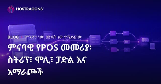 የዲጂታል ውስጥ ክፍያ መቀበል አሰራር መረጃ፡ Stripe፣ Mollie፣ Paddle እና ተጨማሪ አማራጮች