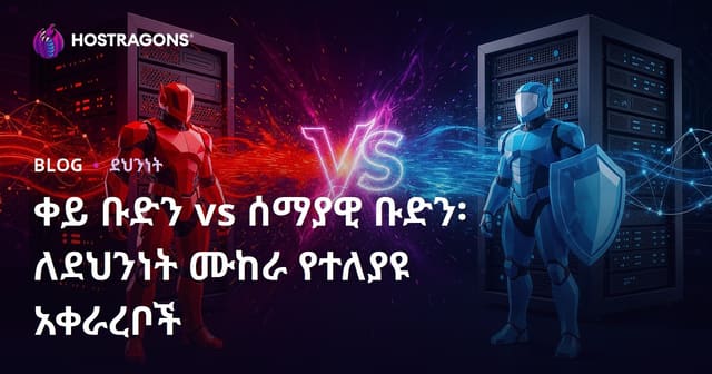 የRed Team እና Blue Team: በየተለያዩ የደኅንነት ሙከራዎች አብራሪ አቅጣጫዎች