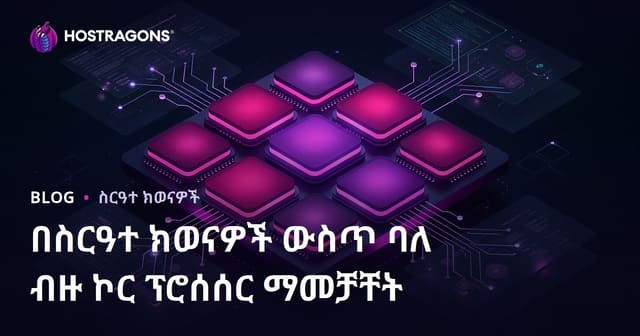 የአካባቢ ስርዓቶች ውስጥ ብዙ-አእምሮ ፕሮሴሰር ኦፕቲማይዜሽን መጠበቅና ፍጥነት ማሻሻያ