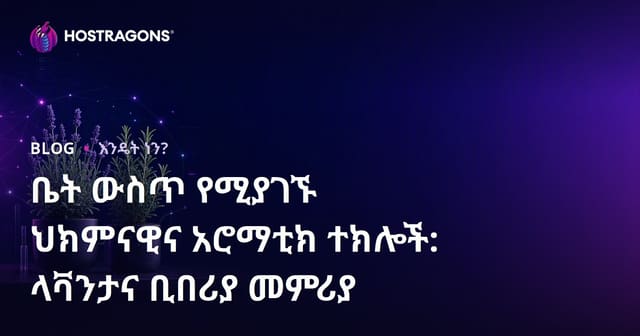 ቤት ውስጥ የሚያገኙ ህክምናዊና አሮማቲክ ተክሎች: ላቫንታና ቢበሪያ መምሪያ