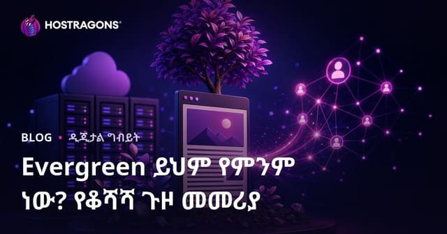 እድም ያልባት የድር ብሎግ ይዘት ምንድነው? አመታት የትራፊክ ምንጭ የሆነ ቅርጸ ጽሁፍ ማዘጋጀት