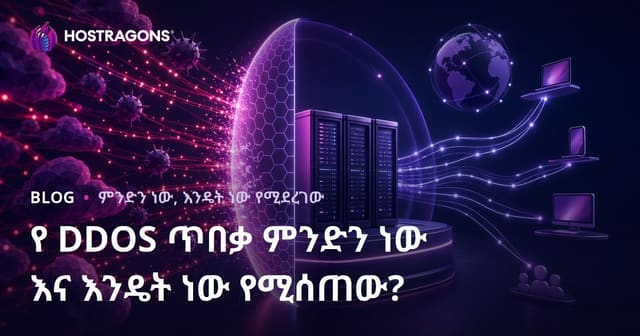 DDOS ጥቃቶች ምንድን ናቸው እና የድህረ-ገፅዎ ደህንነት እንዴት እንደሚጠበቅ