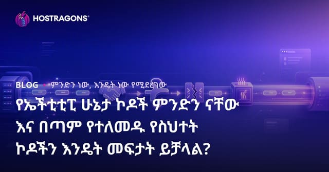 HTTP የሁኔታ ኮዶች ምንድነው? የተደጋጋሚ የድህረገፅ ሃሳብ ችግርን እንዴት ማቅረብ ይቻላል?