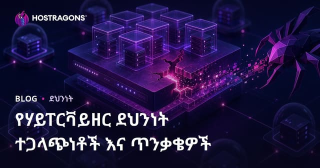 Hypervisor የደህንነት ጉዳቶችና መከላከያ እቅዶች – ሳንኮሚ አስተዳደር በዕቅድ ዘዴ የሚጠበቀው