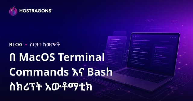 በ MacOS Terminal Commands እና Bash ስክሪፕት አውቶማቲክ